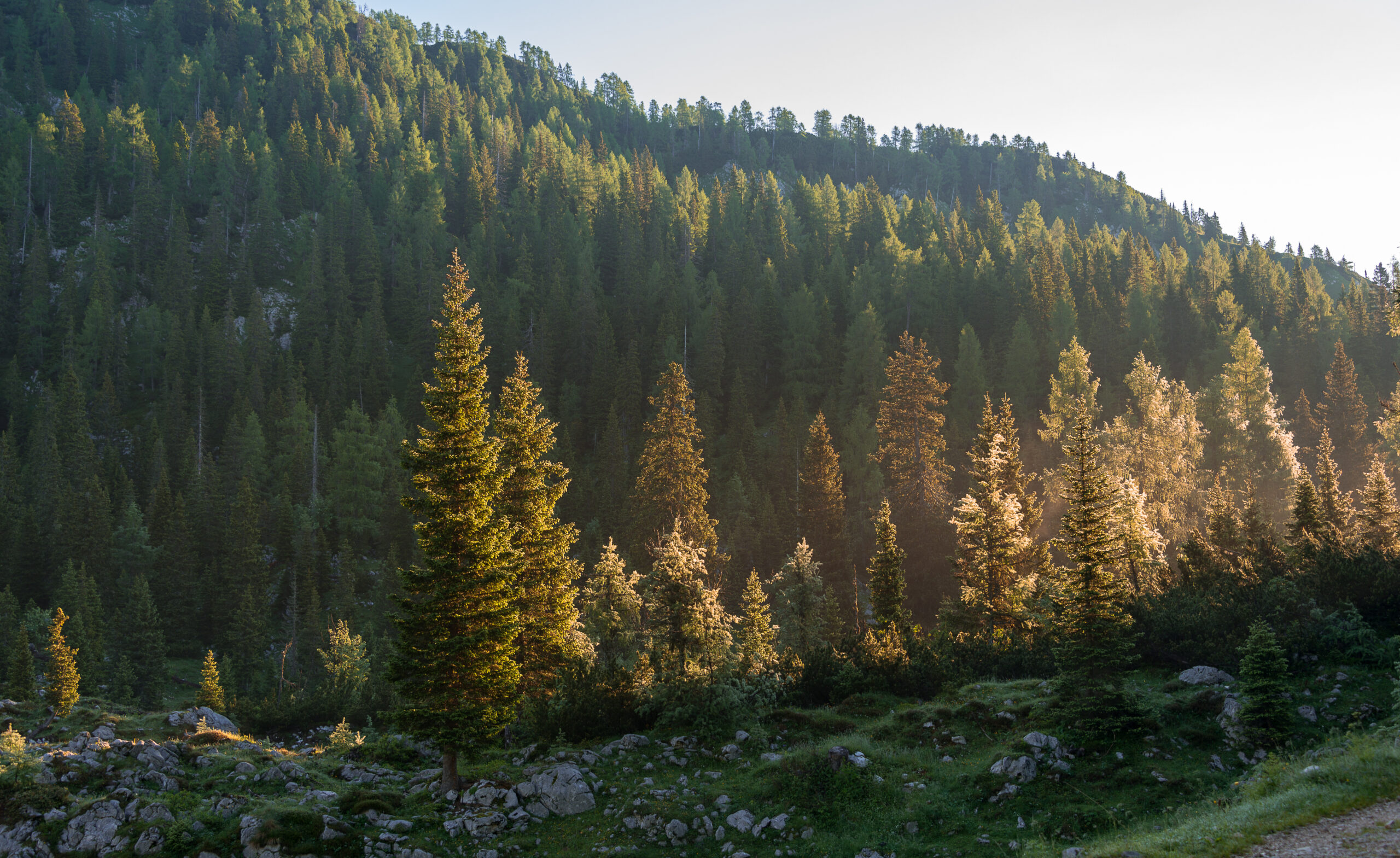 Balancing Ecology, Ethics, and Effectiveness in Ground-Based Shooting