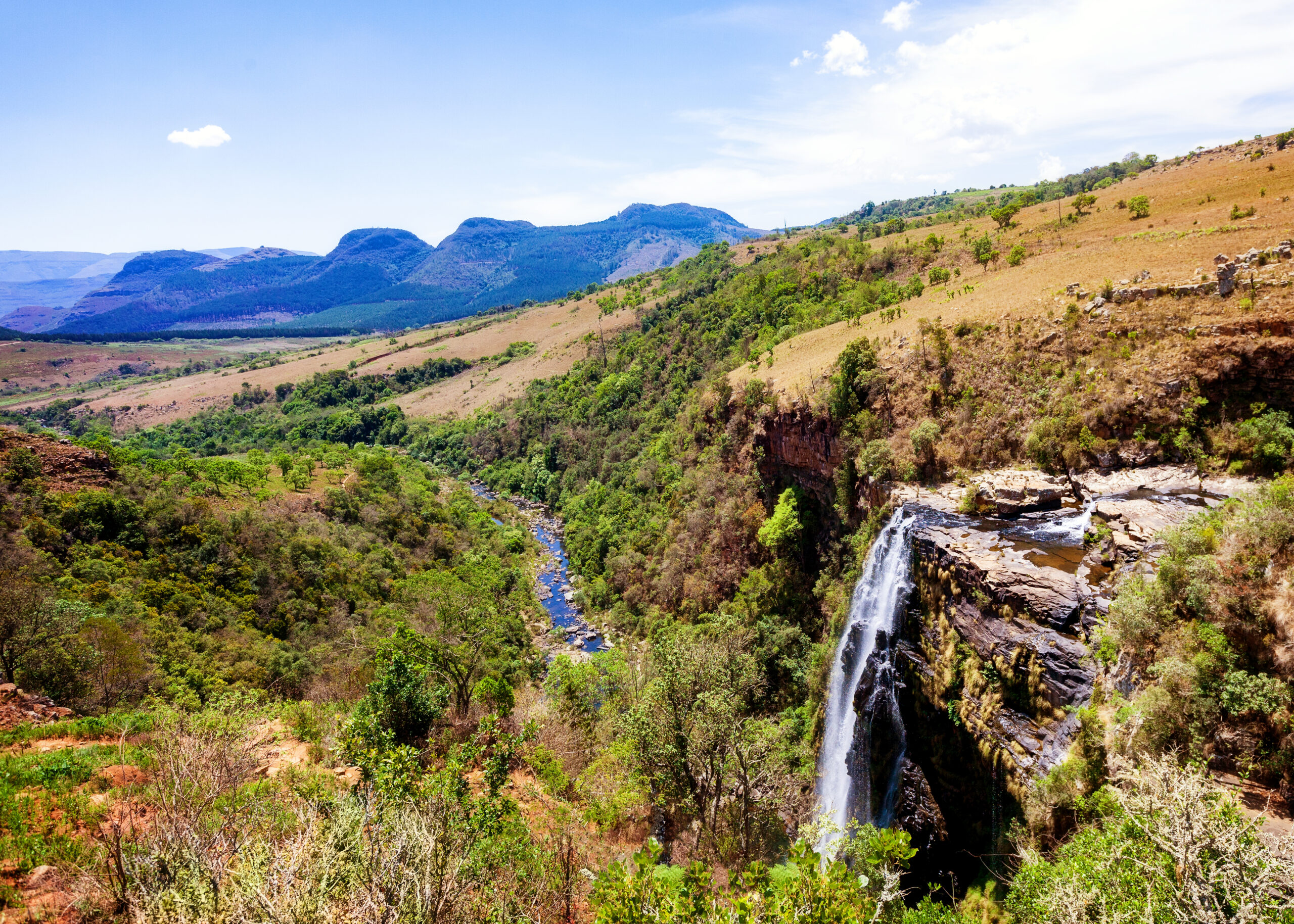 Balancing Ethics and Ecology: The Risk Trophy Hunting Bans Pose to South Africa’s Private Conservation Lands