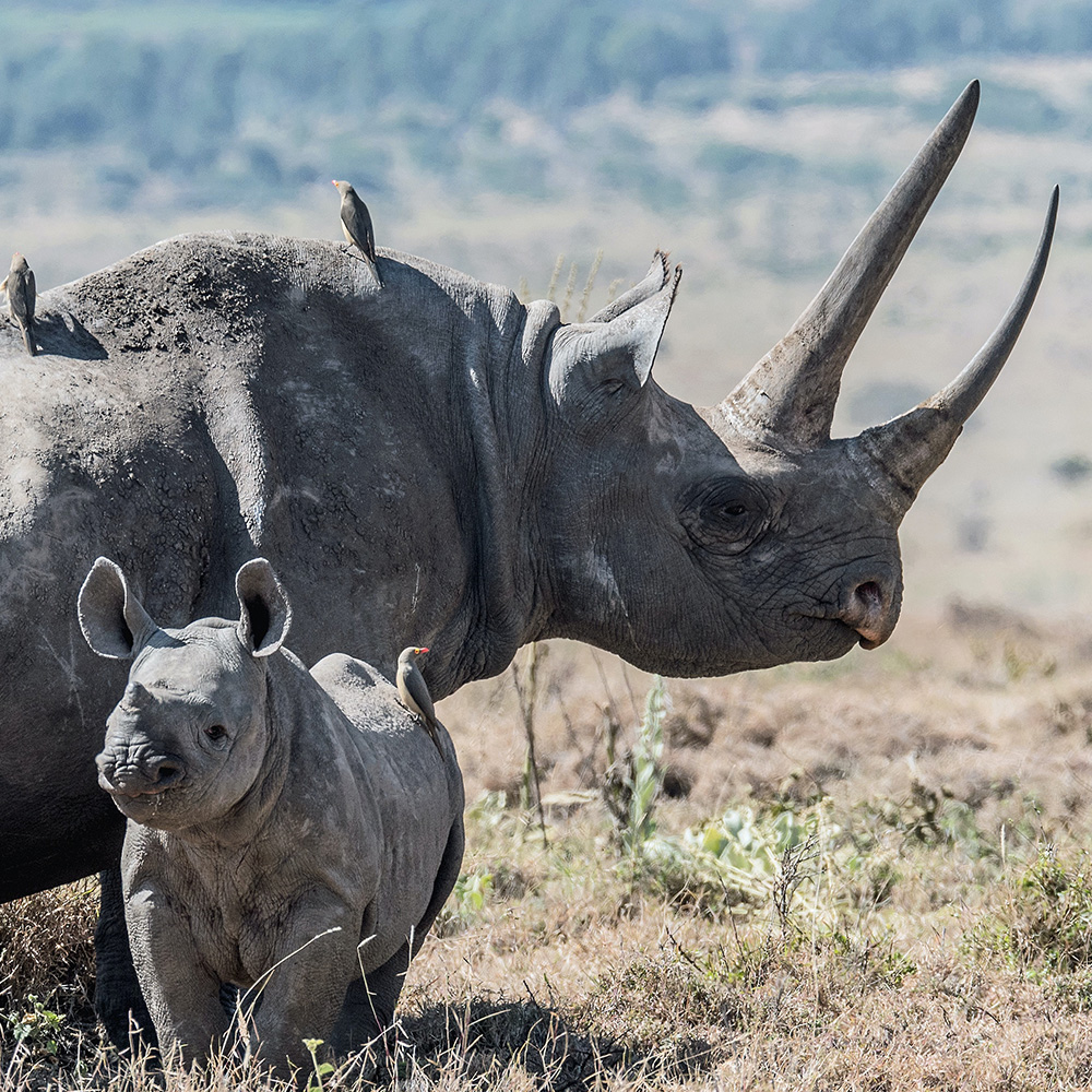 No, Hunters Aren’t Poachers — They’re on the Frontlines Against Them