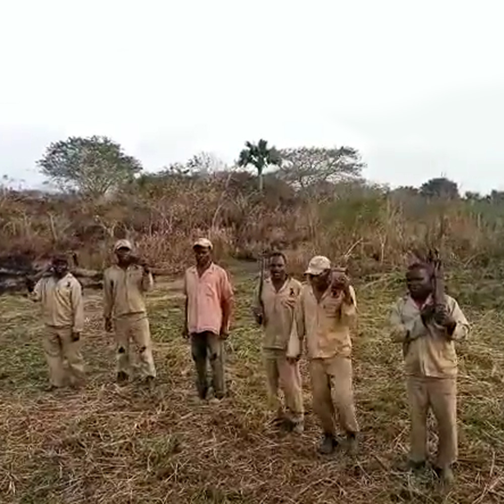 Pride in Protection: How Anti-Poaching Success Fuels Cultural Celebration and Conservation Impact