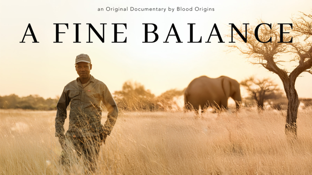 A Delicate Balance: Elephant Hunting and the Future of Botswana’s Wilderness