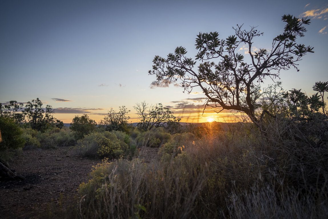 Conservation Partner: Africa Maximum Safaris