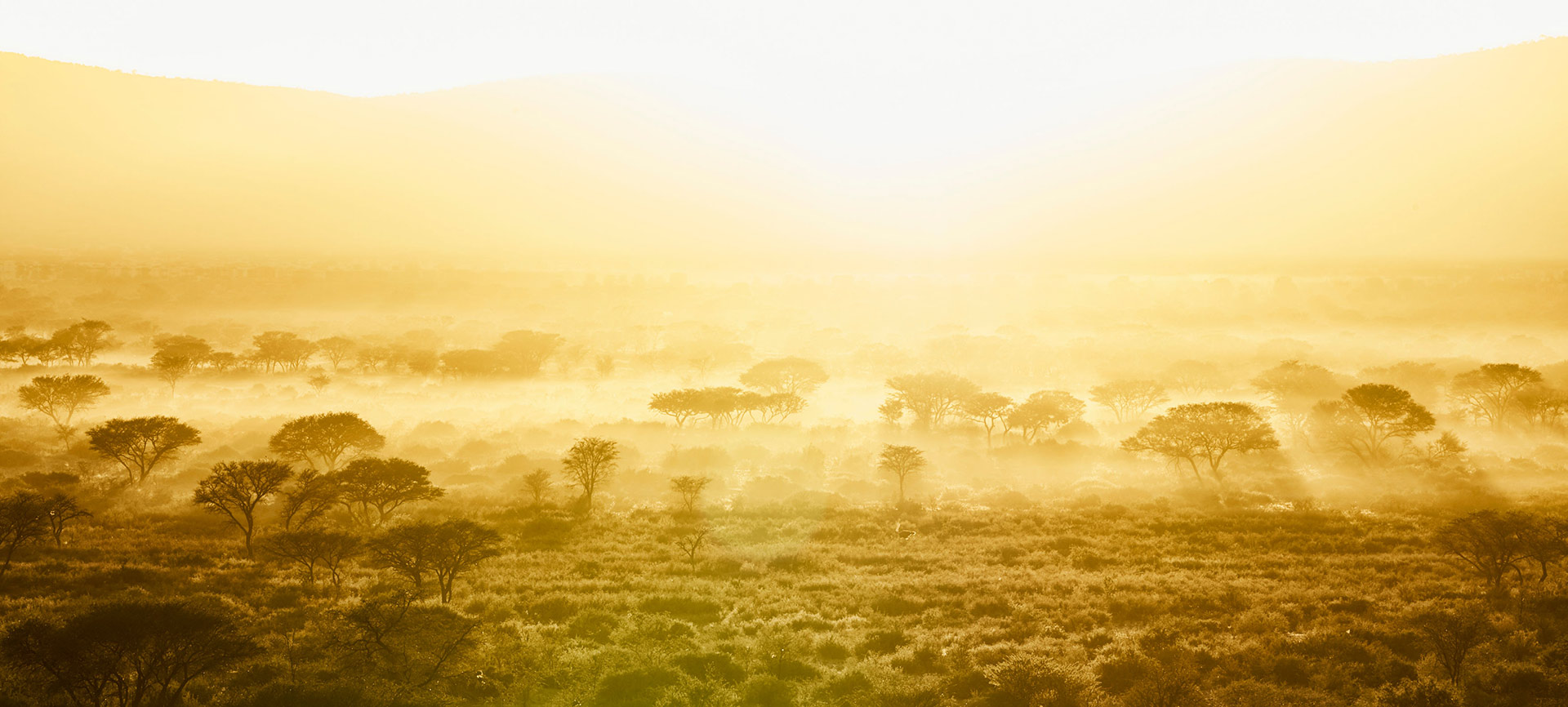 Conservation Partner: Aru Game Lodges