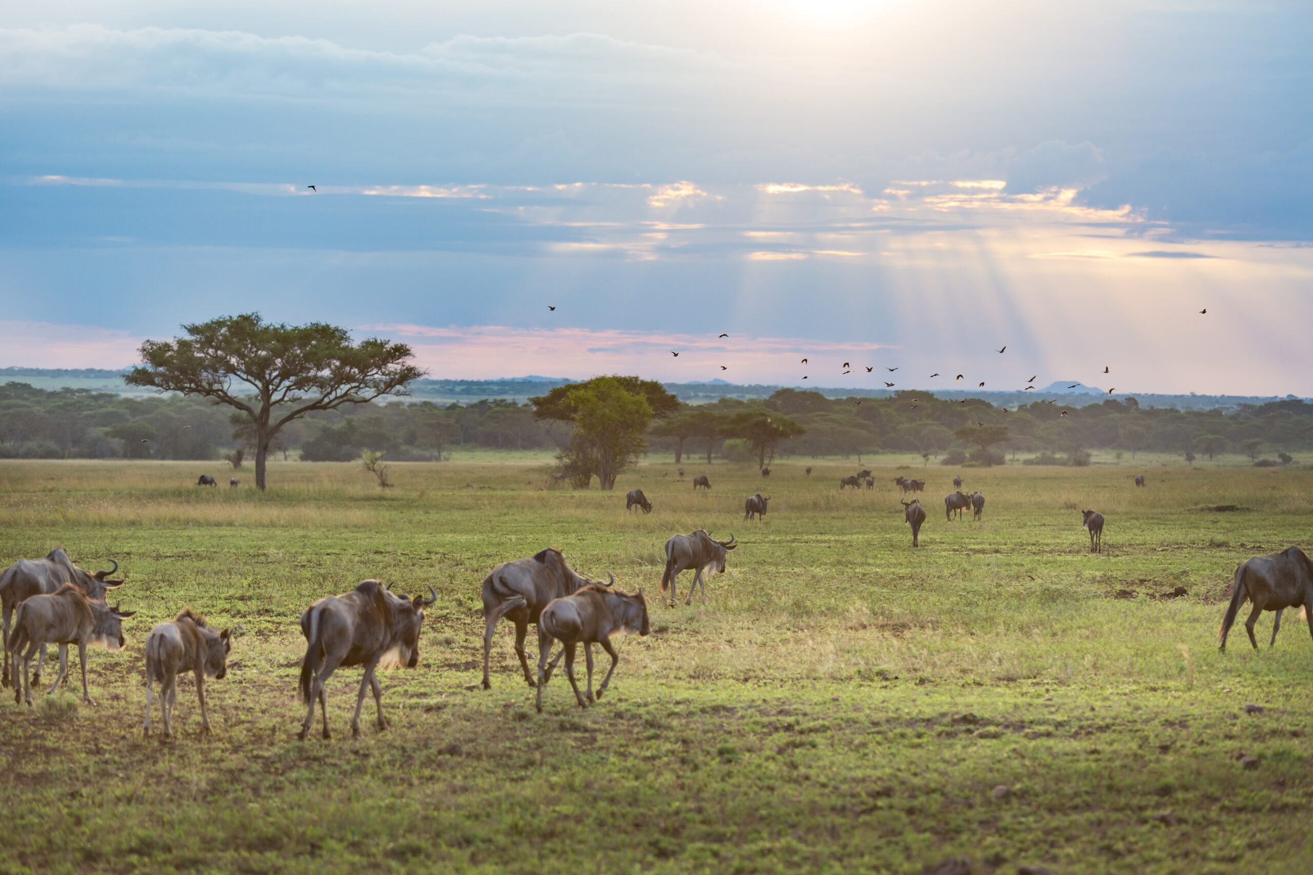 Sustainable Hunting Tourism: A Tool for Conservation, Community Development, and Biodiversity Protection