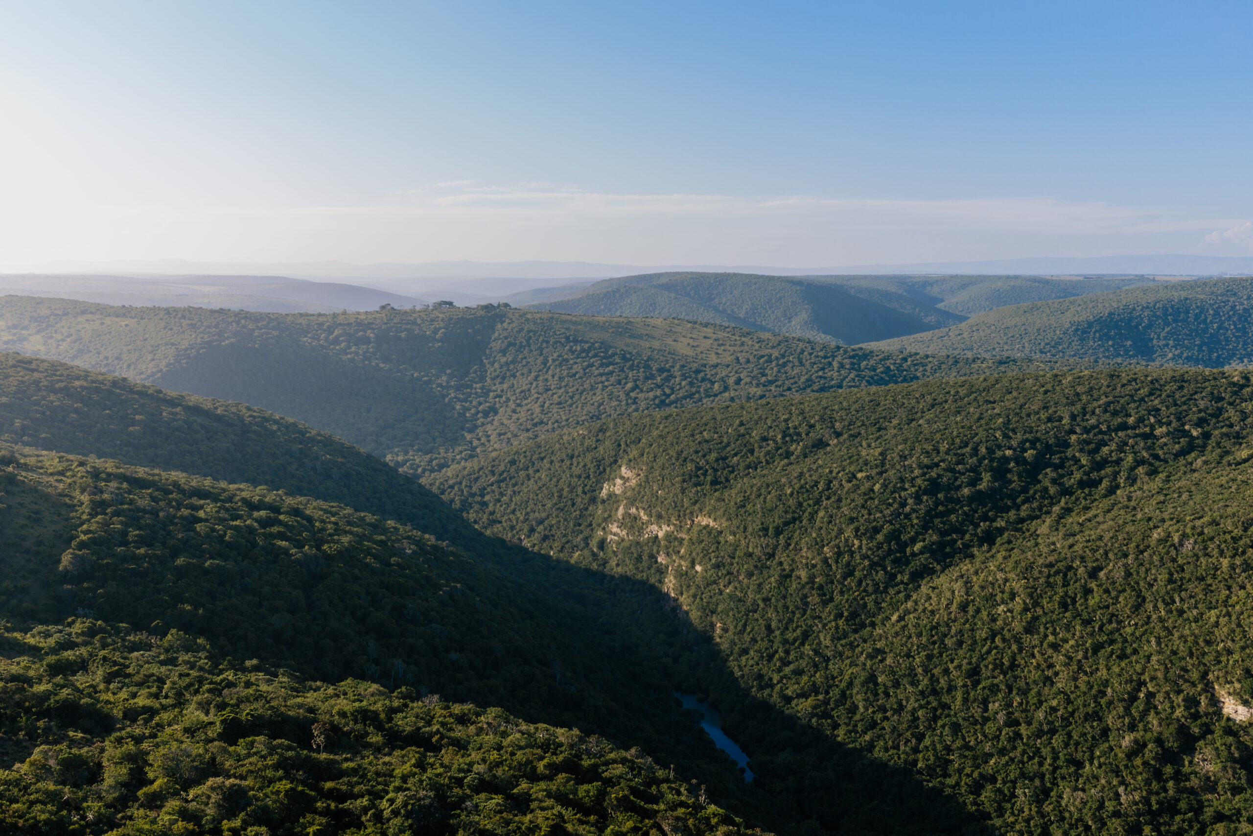 Conservation Partner: Buffalo Kloof