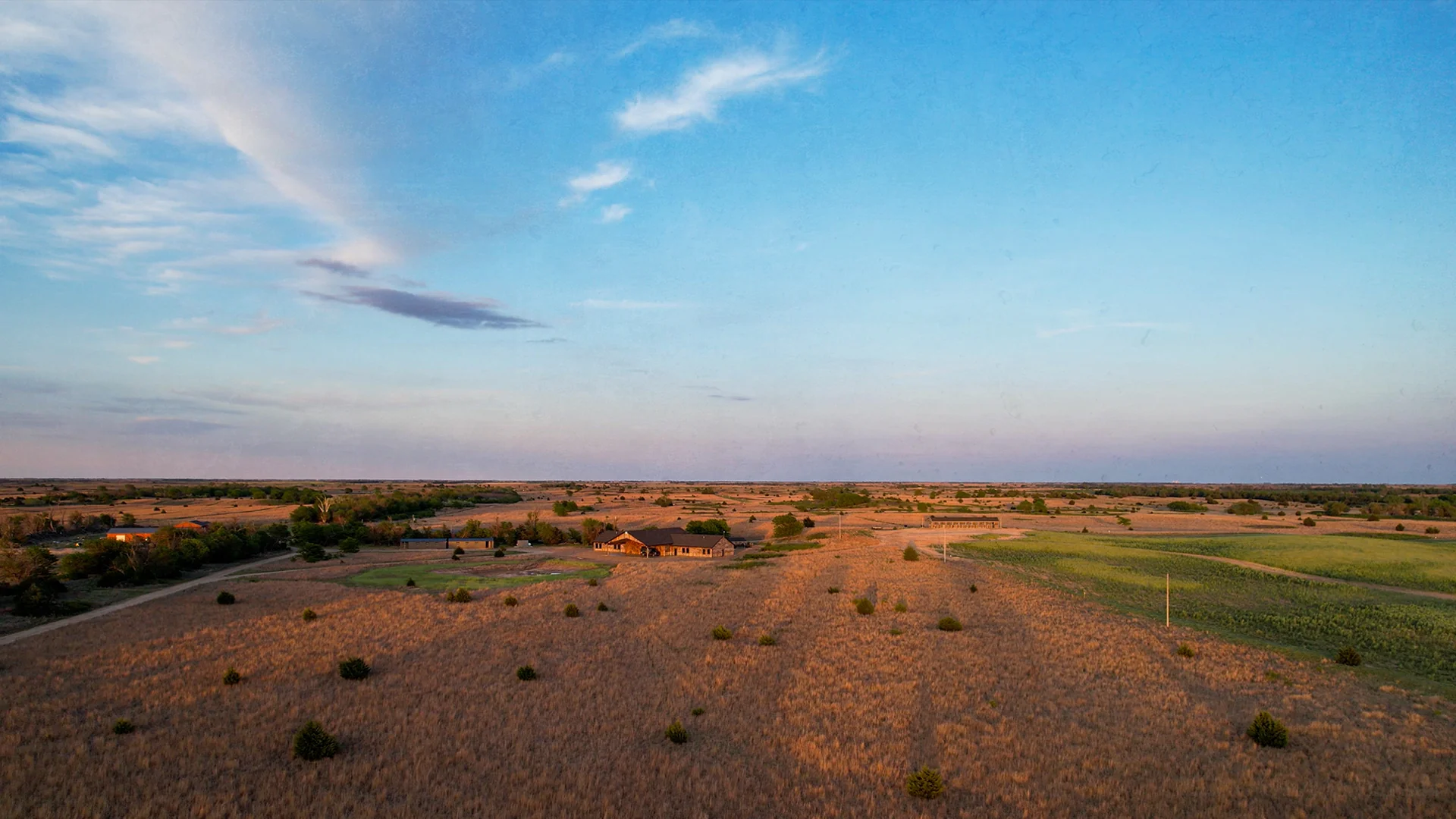 Conservation Partner: Buffalo Nickel