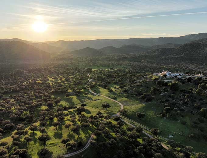 Conservation Partner: Encinarejo Outfitters