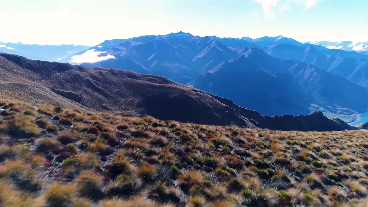 Conservation Partner: Glen Dene Hunting & Fishing NZ
