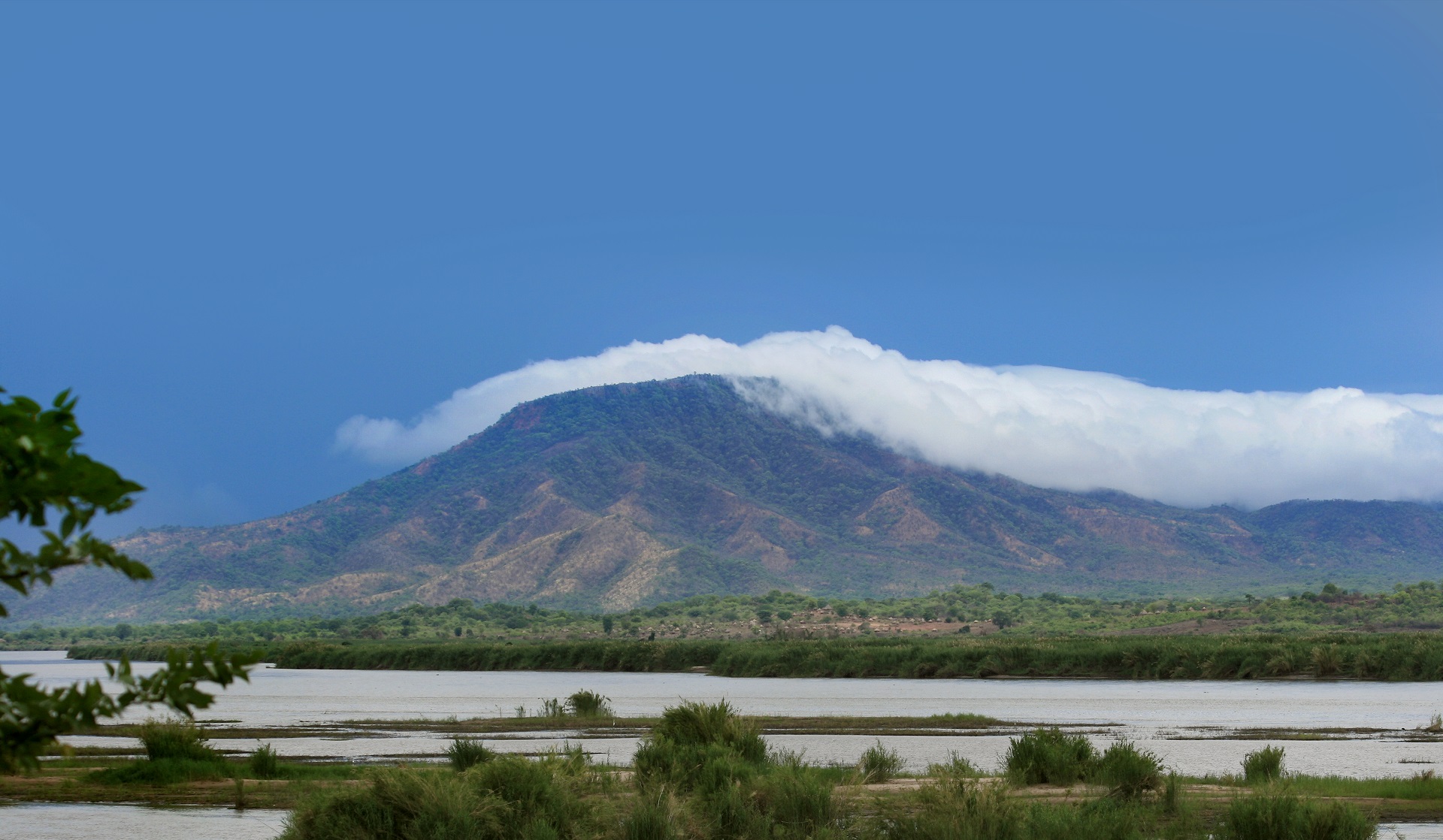 Conservation Partner: Safaris De Mozambique