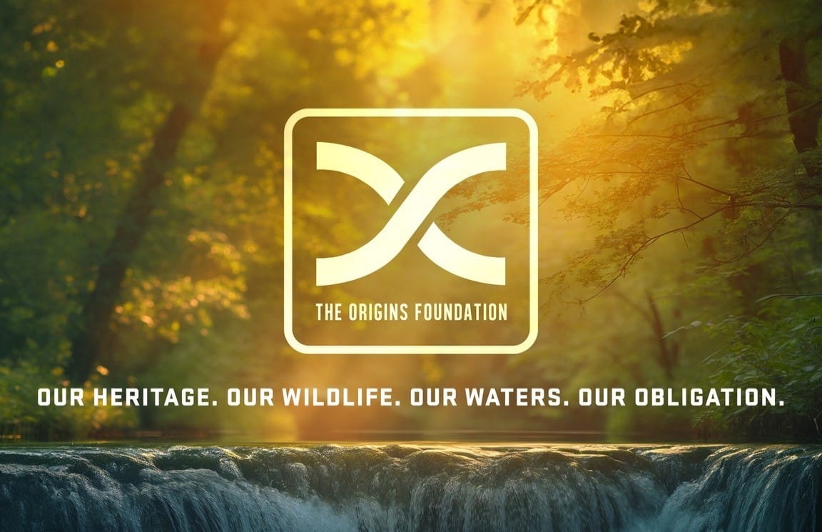 Blood Origins becomes The Origins Foundation: Same Heart, Broader Mission