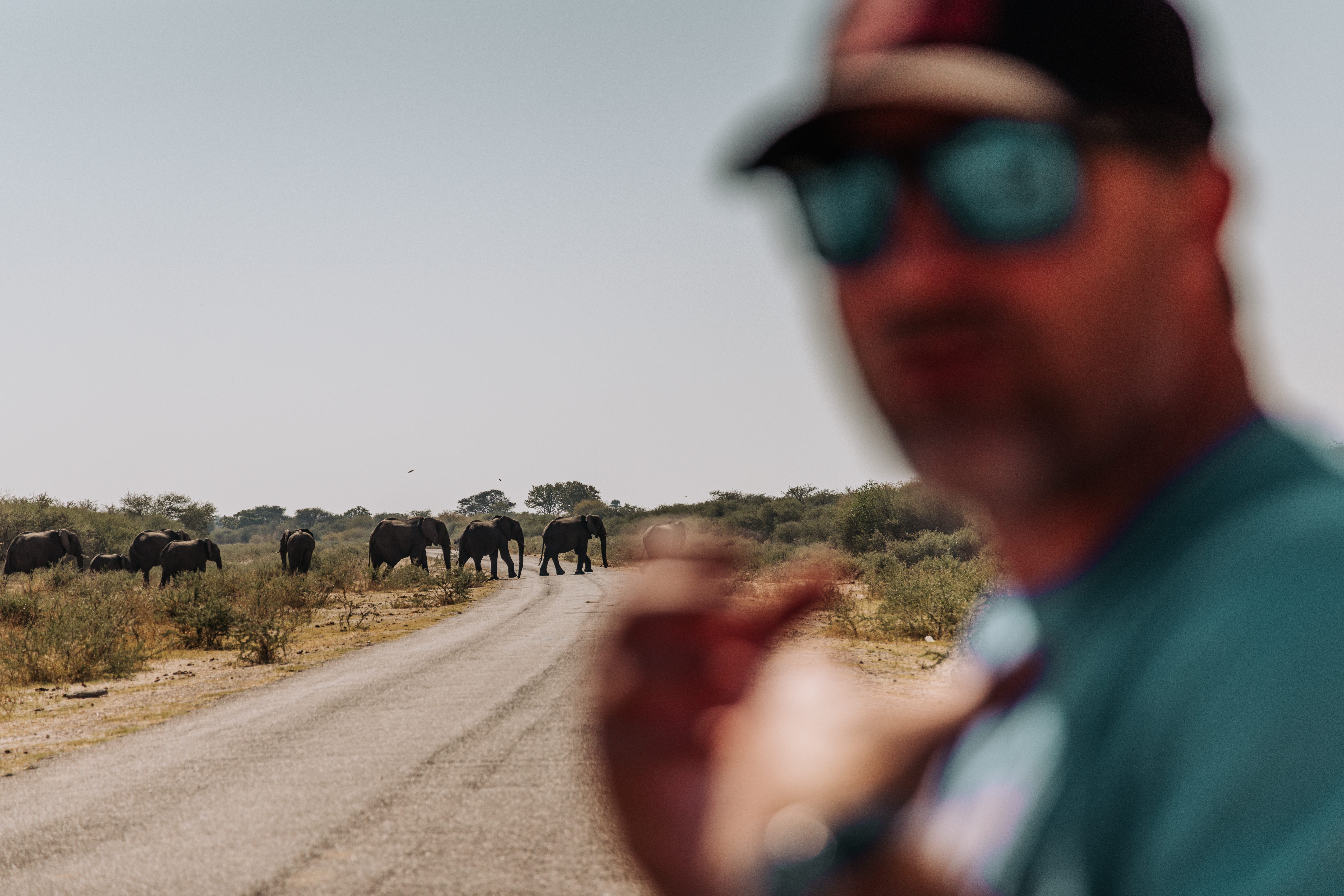 Action, not finger-pointing, is needed for Madikwe’s elephants