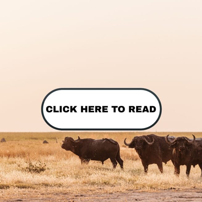 Sustainable Hunting: A Proven Conservation Tool Protecting Wildlife and ...