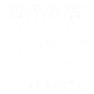 Wild Sheep Foundation Alberta