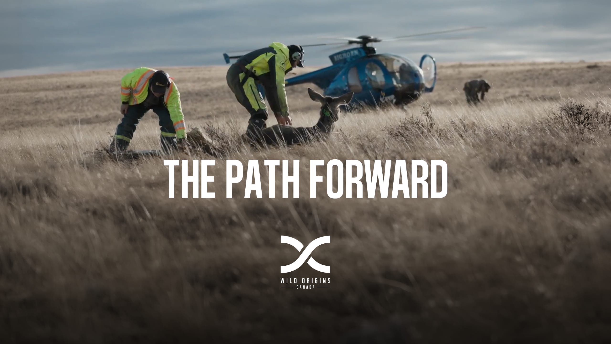 The Path Forward