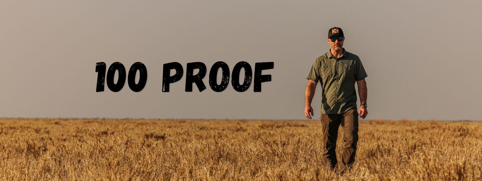 100 Proofs