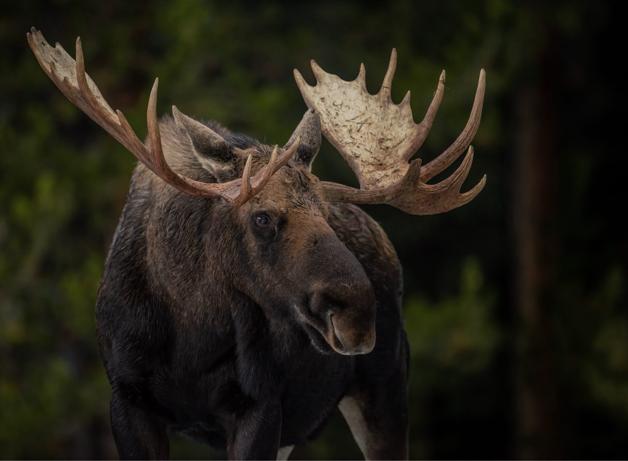 Conservation Shouldn’t Come at the Cost of Access